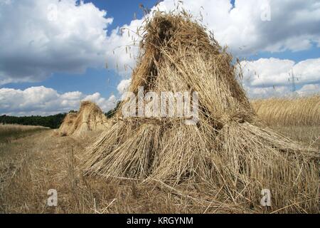 In Stapeln von Korn 2 angeordnet Stockfoto