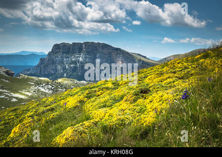 Pyrenäen-Landschaft - Anisclo Canyon im Sommer. Huesca, Spanien Stockfoto