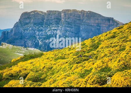 Pyrenäen-Landschaft - Anisclo Canyon im Sommer. Huesca, Spanien Stockfoto