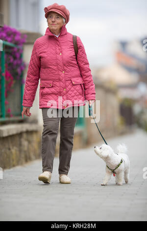 Ältere Frau zu ihrem kleinen Hund auf einer Stadt Straße glücklich und entspannt Stockfoto