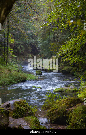 Canyon Landschaft und Wanderwege Kamnitz Schlucht in der Tschechischen Schweiz Hrensko Stockfoto