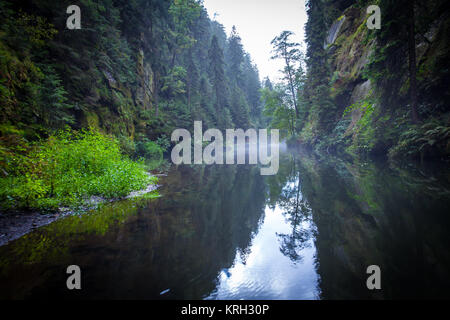 Canyon Landschaft und Wanderwege Kamnitz Schlucht in der Tschechischen Schweiz Hrensko Stockfoto