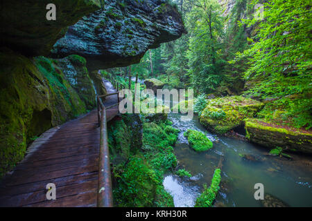 Canyon Landschaft und Wanderwege Kamnitz Schlucht in der Tschechischen Schweiz Hrensko Stockfoto
