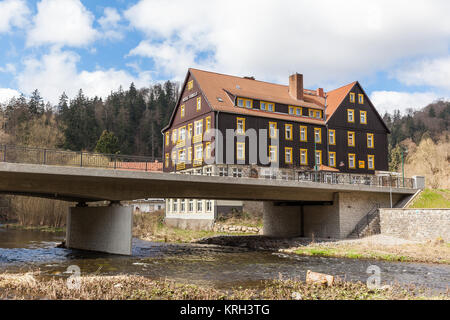 Forelle in treseburg Harz Stockfoto