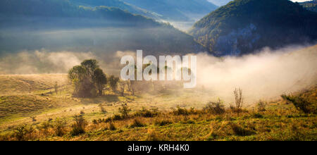 Apuseni Gebirge, Rumänien - misty Herbst morgen Stockfoto