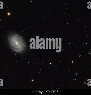 Diese neue NASA/ESA Hubble Space Telescope Bild zeigt eine schöne Spiralgalaxie bekannt als PGC 54493, entfernt im Sternbild Serpens (Die Schlange). Diese Galaxie ist Teil eines Galaxienhaufens, die von den Astronomen entdecken eine faszinierende Phänomen, wie die Schwachen Gravitationslinseneffekts untersucht wurde. Dieser Effekt, verursacht durch die ungleiche Verteilung der Materie (einschließlich dunkle Materie) im gesamten Universum, über Umfragen, wie z. B. das Hubble Medium Deep Survey untersucht wurde. Die dunkle Materie ist eines der großen Rätsel der Kosmologie. Es verhält sich ganz anders als gewöhnliche Materie, da er keine em Stockfoto