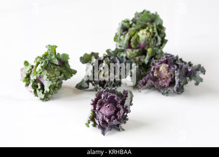 Kalettes auf einem Marmor Oberfläche. Stockfoto