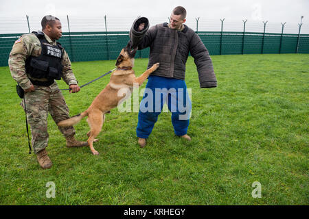 Us-Armee SPC. Teabout Tahle, militärische Gebrauchshund (MWD) Handler mit dem 100 MWD Loslösung, steuert Militär hund Rex, sieben Jahre alten Malinois, wie er den Anzug getragen durch die US-Armee SPC beißt. Douglas Lanning, Chièvres Provost Marshall Büro in der US-Armee Garnison Benelux zugeordnet, für MWD-Einarbeitung training, auf chièvres Air Base, Belgien, 7. Dezember, 2017. (U.S. Armee Stockfoto