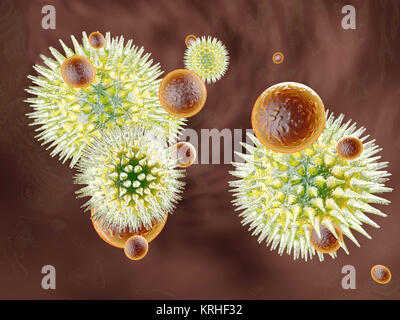 Virus versus Immunsystem. Medizinische Visualisierung. 3D gerenderte Darstellung. Stockfoto