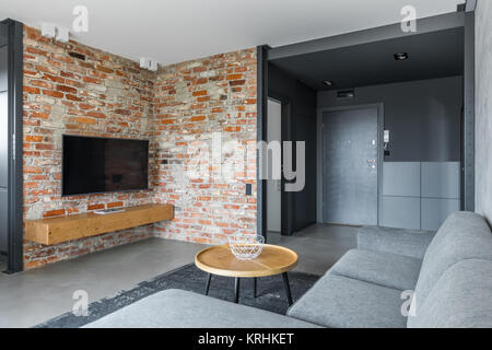 Flur und Zimmer mit Mauer im Loft-Stil apartment Stockfoto