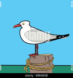 Sea Gull sitzen auf dem pier Stockfoto