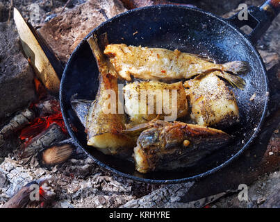 Gebratener Fisch auf dem Feuer in einer Pfanne. Stockfoto