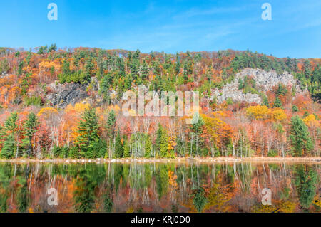 Herbst Landschaften bei Alfred Kelly finden in Piemont, Québec, Kanada Stockfoto