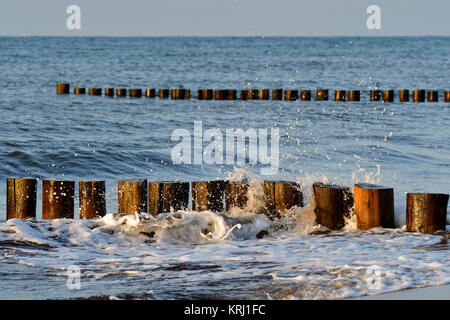 Groynes auf der ostsee in der Abendsonne Stockfoto