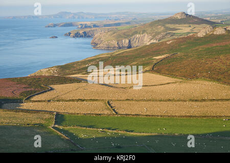 Der walisischen Küste von Carn Llidi Berg Whitesands Bay - zu Fuß entlang der Pembrokeshire Coast Path, Porth Mawr, Wales Stockfoto