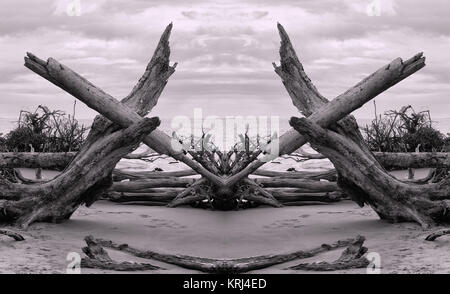 Spiegelsymmetrie Bild von treibholz am Strand. Stockfoto