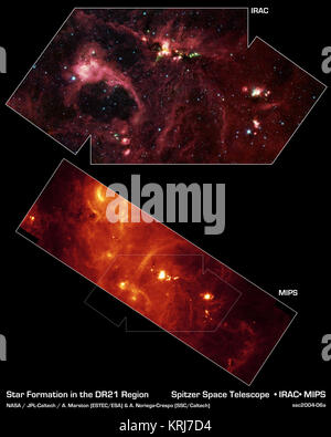 Hinter einer Verkleidung von Staub im Sternbild Schwan ist eine außergewöhnlich helle Quelle der Radiostrahlung namens DR21 versteckt. Sichtbares Licht Bilder zeigen keine, was in dieser Region ist wegen der schweren Staub Schleiern. In der Tat, das sichtbare Licht ist in DR21 um einen Faktor von mehr als 10,000,000,000,000,000,000,000,000,000 gedämpft, 000,000,000,000 (10 tausend Billionen heptillion). Neue Bilder von NASA's Spitzer Space Telescope ermöglichen es uns, einen Blick hinter die kosmische Schleier und einer der massivsten natal Sterne in unserer Milchstraße gesehen zu ermitteln. Die nie zuvor gesehene Stern ist 100,0 Stockfoto