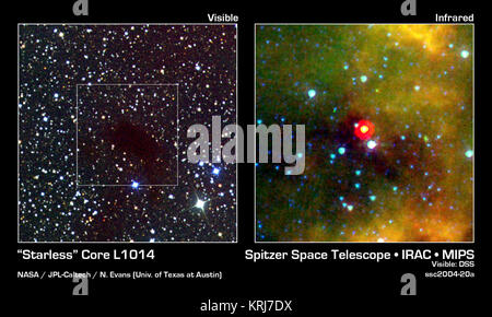 Die "Kerne zu Festplatten' Spitzer Legacy Team wird über die beiden IR-Kameras auf der NASA-Weltraumteleskop Spitzer dichten Regionen von interstellaren Molekülwolken zu suchen (bekannt als "Kerne") Nachweise, die für die Entstehung von Sternen. Teil der Studie gezielt eine Gruppe von Objekten ohne bekannte Stars die Eigenschaften solcher Regionen zu studieren, bevor die Sterne gebildet haben. Die erste dieser's tarless Kerne" untersucht werden, hielt eine Überraschung: eine Quelle von infrarotem Licht erschien, wo keine erwartet wurde. Der Kern ist als L 1014, die 1.014 th Objekt in einer Liste der Dunklen, staubigen 'Wolken' zusammengestellt von Astronom Beverly Lynds bekannt Stockfoto