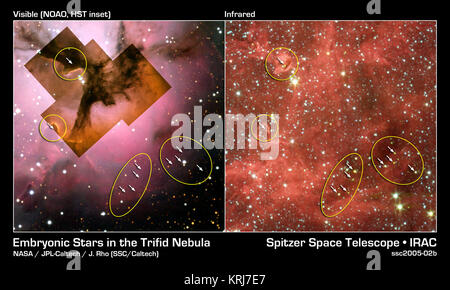 Dieses Image Composite vergleicht für sichtbares Licht mit einem Infrarot Ansicht von NASA's Spitzer Space Telescope der glühenden Trifid Nebula, eine riesige Sterne bilden Wolke aus Gas und Staub entfernt 5.400 Lichtjahre entfernt im Sternbild Schütze. Sichtbares Licht Bilder Der Trifid mit NASA's Hubble Space Telescope, Baltimore, Md (innen links) und die National Optical Astronomy Observatory, Tucson, Ariz., (links außen) zeigen eine düstere Wolke gesäumt mit dunklen Spuren von Staub. Die Daten für diese Region vom Institut für Radioastronomie millimeter Teleskop in Spanien aufgedeckt vier dichten Knoten Stockfoto