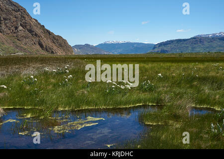 Seen und Feuchtgebiete entlang der Unterseite des Valle Chacabuco im nördlichen Patagonien, Chile. Stockfoto