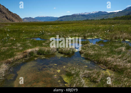 Seen und Feuchtgebiete entlang der Unterseite des Valle Chacabuco im nördlichen Patagonien, Chile. Stockfoto