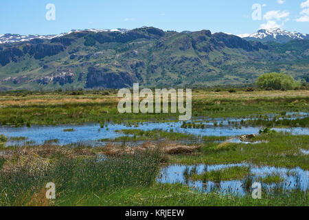 Seen und Feuchtgebiete entlang der Unterseite des Valle Chacabuco im nördlichen Patagonien, Chile. Stockfoto