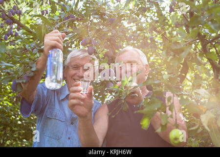 Glückliche Senioren mit Alkohol unter Obstbäumen Stockfoto