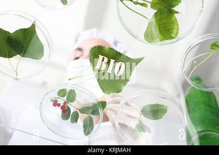 Ingenieur Biotechnologe bei der Arbeit. Stockfoto