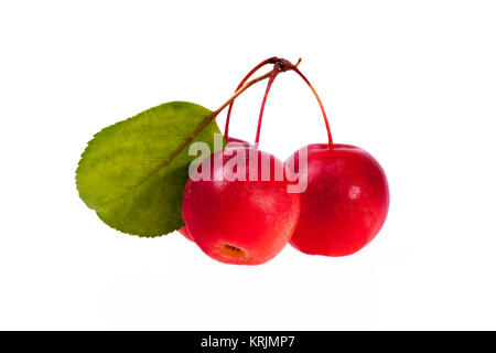 Red Paradies Äpfel auf weißem Hintergrund, in der Nähe Stockfoto