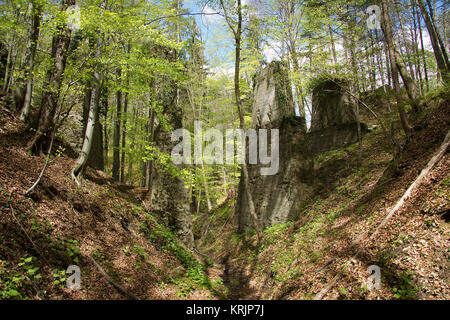 Alte heruntergekommene Piers in einem Wald einer stillgelegten Bahnlinie in der Steiermark Stockfoto