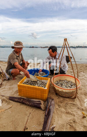 Fischer arbeitete in Fischerdorf von Cua Dai, Hoi An, Vietnam. Hoian ist als Weltkulturerbe von der UNESCO anerkannt. Stockfoto