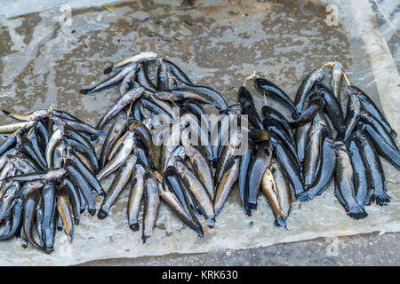 Frischer Fisch mit Banane Blätter auf dem lokalen Markt in Asien Stadt. Stockfoto