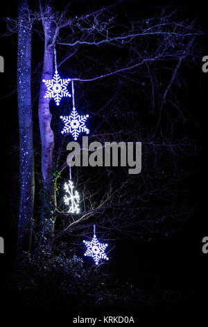 Schneeflocke Sterne hängen in der beleuchteten Bäume als Teil der Weihnachtsbeleuchtung an Blenheim Palace, Woodstock. Dezember 2017 Stockfoto