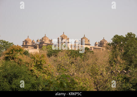 Orchha Palace, Madhya Pradesh. Auch buchstabiertes Orcha, berühmte Reiseziel in Indien. Stockfoto