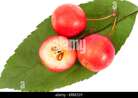 Red Paradies Äpfel auf weißem Hintergrund, in der Nähe Stockfoto