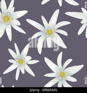 Edelweiss Blumen muster Stockfoto