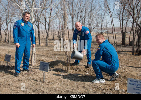 Hinter der Kosmonaut Hotel Besatzung in Baikonur, Kasachstan, Expedition 47-48 crewmember Jeff Williams der NASA (Mitte) Gewässern ein Baum zuvor in seinem Namen gepflanzt 12. März als Teil der Traditionellen vorbereitenden Aktivitäten. Seine Mannschaftskollegen, Oleg Skripochka (links) und Alexey Ovchinin (rechts) von Roskosmos. Williams, Skripochka Ovchinin und führen abschließende Ausbildung für ihre Einführung März 19, Kasachisch, der Sojus TMA-20 M Sonde für eine sechsmonatige Mission auf der Internationalen Raumstation. NASA/Victor Zelentsov Sojus TMA-20 M Crew während der baumpflanzung Zeremonie Stockfoto