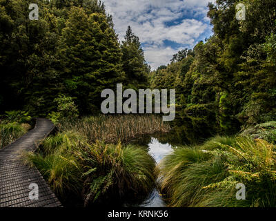 Native Wald- und Sumpfgebiet, Ohinetonga Lagune, Owhango, Ruapehu District, Neuseeland Stockfoto