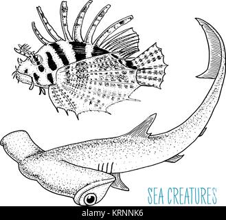 Meer Kreatur rot Rotfeuerfische und großen Hammerhai. graviert Hand in alte Skizze gezeichnet, Vintage Style. nautischen oder Marine, Monster oder Fisch. Tiere, die in den Ozean. Stock Vektor