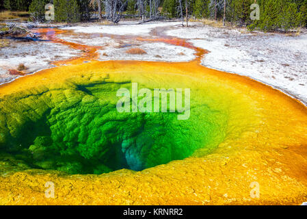 Morning Glory Pool Stockfoto