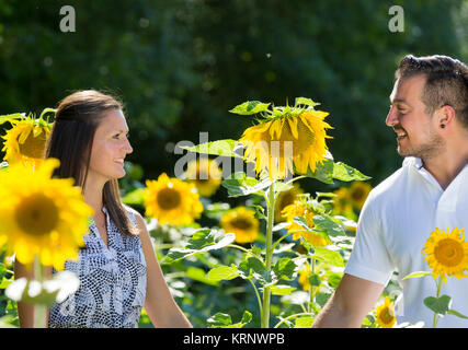 Glückliches junges Paar im sonnenblumenfeld, Engagement, Bayern, Deutschland Stockfoto