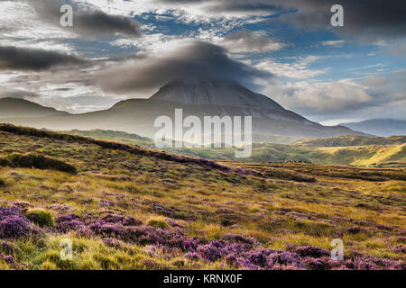 Blick auf Mount Errigal, eine von Irlands berühmtesten Berge, von bogland außerhalb Gort eine Choirce (gortahork), County Donegal, Irland Stockfoto