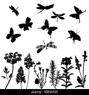 Silhouetten von Gras, Libellen und Schmetterlinge isoliert Stockfoto