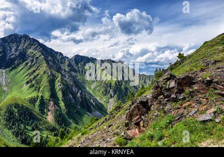 Sibirischen Hochland im Juli. Ostsajan. Russland Stockfoto