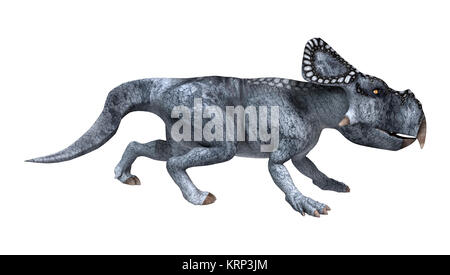 3D-Rendering Protoceratops Dinosaurier auf Weiß Stockfoto