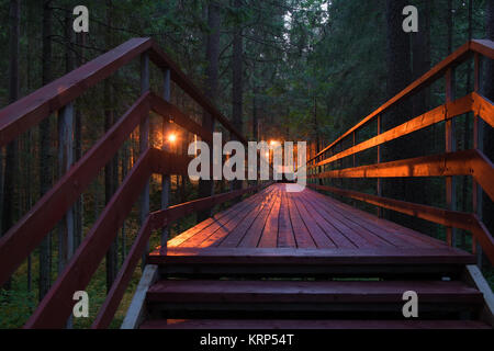 Hölzerne Brücke in den Wald in der Nacht Stockfoto