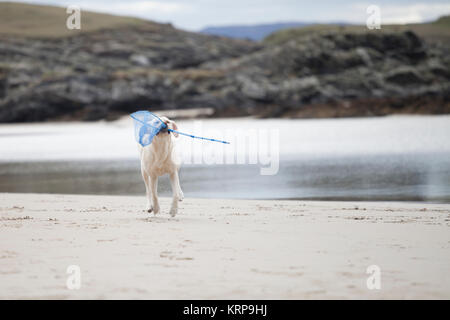 Reisen Familie Spaß am Strand Fußball spielen, laufen, springen und Spaß in Donegal, Republik von Irland Stockfoto