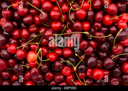 Red Cherry Hintergrund. Rote reife köstliche Kirschen Stockfoto