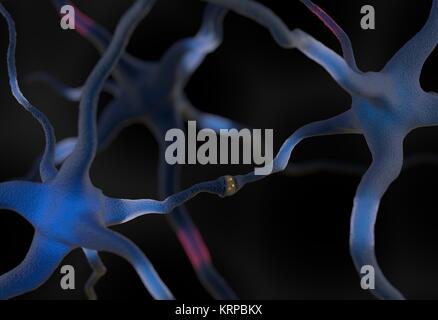 Neuronen im Gehirn 3D-Illustration verbunden Stockfoto