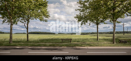 Panoramablick auf das Land Landschaft. Der hölzerne niedrige Bank am Straßenrand im Frühjahr Stockfoto